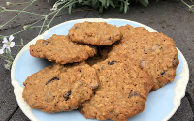 Brown Sugar Oatmeal Chocolate Chip, Walnut & Dried Cranberry Cookies