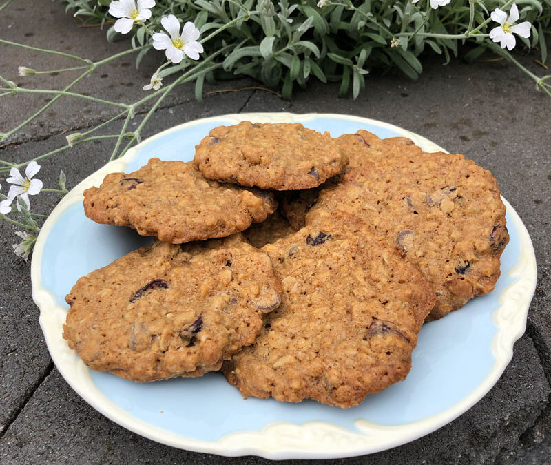 Brown Sugar Oatmeal Chocolate Chip, Walnut & Dried Cranberry Cookies